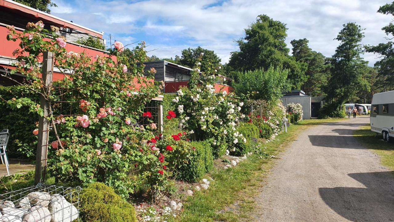 Langeby Camping Sandefjord Bagian luar foto